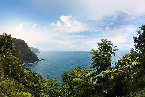 Tropical vegetation and a green coastal cliff overlooking the blue Pacific Ocean along Maui's Road to Hana.